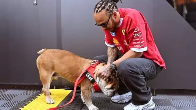 Lewis Hamilton’dan duygulandıran paylaşım: Roscoe’nun LEGO portresi hayran bıraktı Lewis Hamilton’dan duygulandıran paylaşım: Roscoe’nun LEGO portresi hayran bıraktı