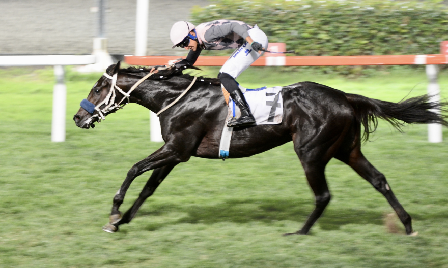 Battle For Glory – İstanbul’daki ilk Grup zaferi! Salih Çelik’le 5’te 4! Battle For Glory – İstanbul’daki ilk Grup zaferi! Salih Çelik’le 5’te 4!