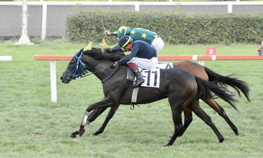 Müthiş kapışmada kazanan BEAUTY OF DARKNESS… Müthiş kapışmada kazanan BEAUTY OF DARKNESS…