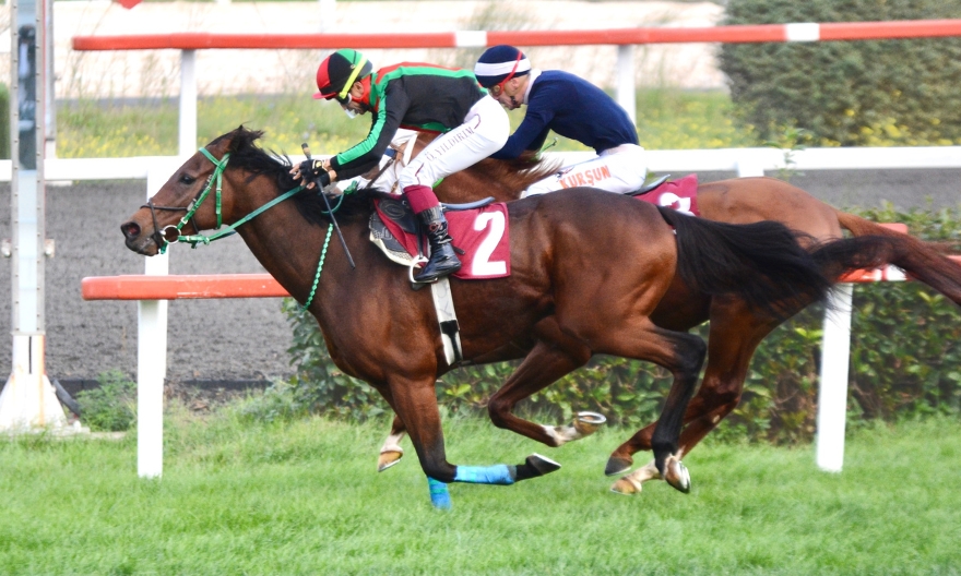 MASTERPIECE’den Çim Pistte Bu Yılki İlk Birincilik… MASTERPIECE’den Çim Pistte Bu Yılki İlk Birincilik…