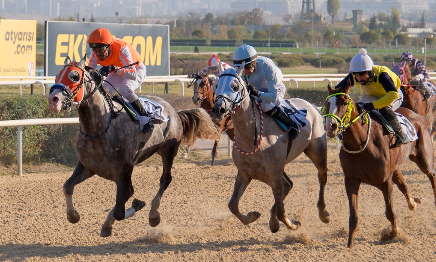 Sergökçe’den Haralar’da Namağlup Devam! | Yarış Dergisi Sergökçe’den Haralar’da Namağlup Devam! | Yarış Dergisi
