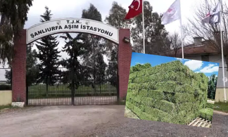 TJK Şanlıurfa Aşım İstasyonu’nda Tartışmalı Görüntüler TJK Şanlıurfa Aşım İstasyonu’nda Tartışmalı Görüntüler