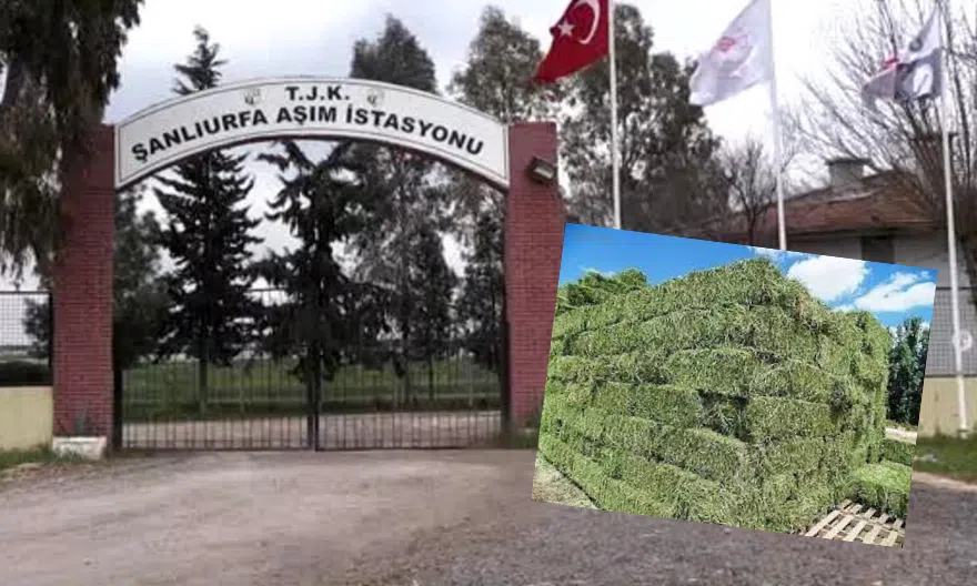 TJK Şanlıurfa Aşım İstasyonu’nda Tartışmalı Görüntüler