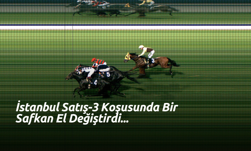 İstanbul’da Satış-3 Koşusunda Bir Safkan El Değiştirdi! İstanbul’da Satış-3 Koşusunda Bir Safkan El Değiştirdi!