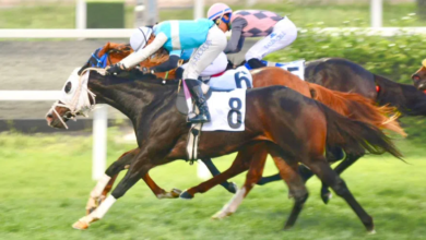 Tulumar, G3 Atıf Esenbel Koşusunu Kazandı